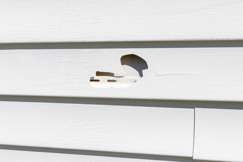 Vertical Vinyl Siding Repair